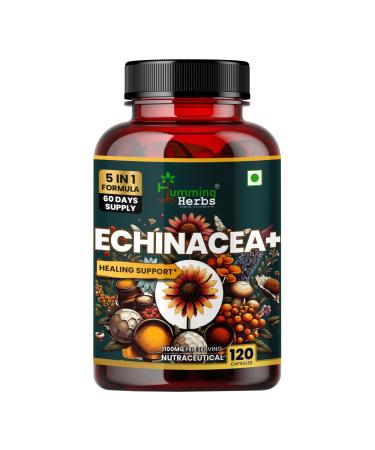 Humming Herbs Echinacea Complex with Tulsi (Holy Basil) Quercetin Vitamin C & Zinc 1050 mg per Serving 120 Capsules (60 Days) Immune System & Seasonal Wellness Support