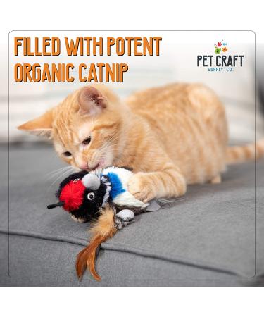 Pet Craft Supply Cat Toys 2 Pack - Interactive and Durable - Buy Online on GoSupps.com