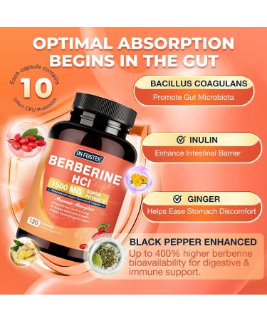 DRFOSTER Berberine HCL 1500mg Berberine Supplement with Ceylon Cinnamon Magnesium & Probiotics - Supports Gut Health & Immune System Non-GMO 120 Capsules 120 Count (Pack of 1) - Buy Online on GoSupps.com