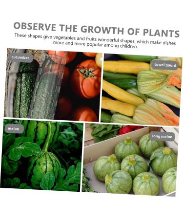 POPETPOP 3 Pcs Pentagram Mold Cucumbers Vegetables Tools Strawberry Mold Planting Supplies Shaping Fruit - Buy Online on GoSupps.com