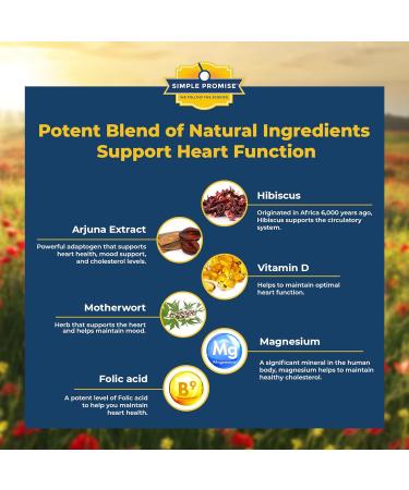 Simple Promise Prociva - Arjuna Bark Extract Heart Health Supplement with Folic Acid Vitamin D & Magnesium - Herbal Blood Pressure Support & Healthy Heart Maintenance for Men & Women - 60 Capsules - Buy Online on GoSupps.com