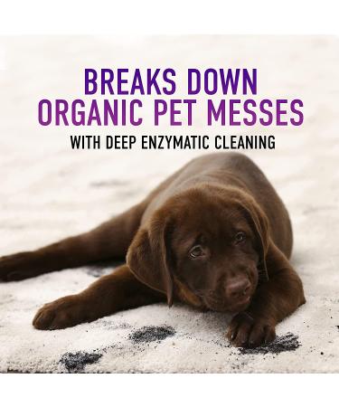 Hoover Paws & Claws Deep Cleaning Carpet Shampoo with Stainguard - 64oz Concentrated Cleaner Solution for Pets | AH30925 - Buy Online on GoSupps.com