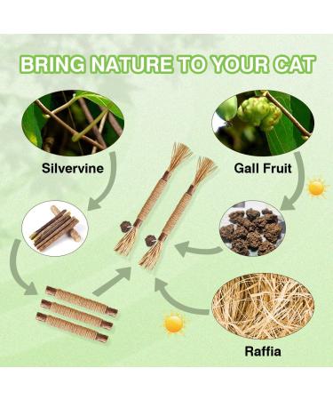 AGYM Cat Silvervine Stick Toy Set - Natural Chew Toys for Cats | Promotes Dental Health, Relaxation, and Digestion | Non-Addictive and Safe | 4 Pack - Buy Online on GoSupps.com