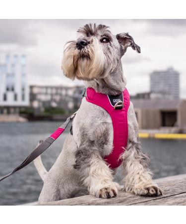 DOG Copenhagen Dog Harness V2 Comfort Walk Pro - Wild Rose Pink XS | International Shipping Available - Buy Online on GoSupps.com