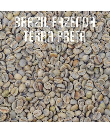 Green Coffee Beans 227g - Brazil Fazenda Terra Preta - Brown Bear - SCA 87.5 Score - Cup of Excellence - Unroasted Raw Coffee Beans for Home Roasters - Natural Dry Process - Buy Online on GoSupps.com