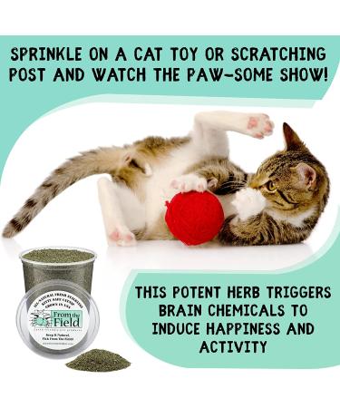 From The Field Catnip Kitty Safe Stalkless Tub 10 oz - Premium Organic Catnip for Endless Fun - Buy Online on GoSupps.com
