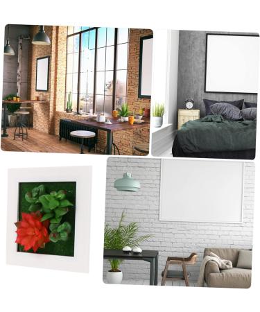 HOMSFOU 1pc Plant Photo Frame Plants Picture Frames Home Decor Succulent Plant Housewarming Gift Artificial Succulent Wall Art Plant Photo Frame Wall Household Plastic Red 15.5X15.5CM - Buy Online on GoSupps.com