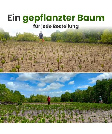 Buy Bamboovement 99% Plastic-Free Sustainable Disposable Razors for Men | Eco-Friendly Wet Razor Set with 3 Premium Blades & 5 Razors Gentle Shave Unisex - Buy Online on GoSupps.com