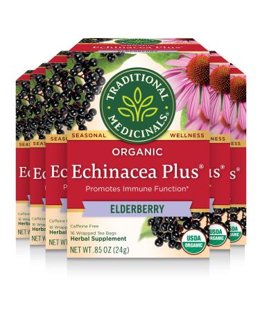 Traditional Medicinals Organic Echinacea Plus Elderberry Seasonal Tea, 16 Tea Bags (Pack of 6)