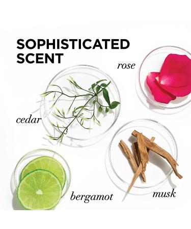 L'Oreal Paris EverPure Moisture Shampoo & Conditioner Set - Sulfate Free, Rosemary Infused, for Dry & Color Treated Hair - 11 fl. oz - Buy Online on GoSupps.com