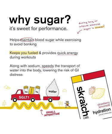 SKRATCH LABS Sport Hydration Drink Mix | Poudre de glucides et d' lectrolytes | 22g | Fraise + Citron | Endurance Entra nement Comp tition |Sans gluten Vegan Keto - Buy Online on GoSupps.com
