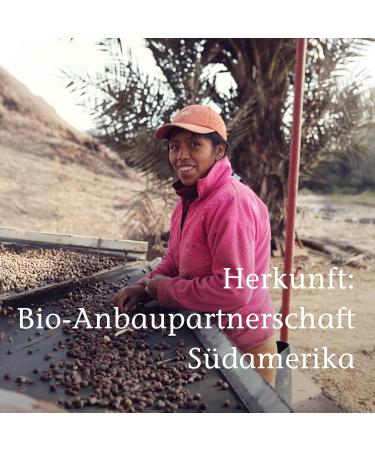  Primavera Jojoba Oil organic 50 ml - Buy Online on GoSupps.com