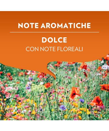  Lavazza Lavazza A Modo Mio Delizioso Espresso Coffee Pods 100% Arabica 36 Capsules - Buy Online on GoSupps.com