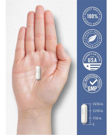 Carlyle Magnesium Zinc and Vitamin D3 | 90 Capsules | 3-in-1 Advanced Formula | Vegetarian Non-GMO and Gluten Free - Buy Online on GoSupps.com