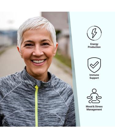 Dr. Mercola Ashwagandha 60 Capsules - Premium Stress Relief & Wellness Supplement - Buy Online on GoSupps.com