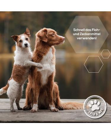 Buy Lolo & Max Natural Flea & Tick Spot On for Dogs | 100% Effective Defense - 8 Months Protection Against Parasites - Buy Online on GoSupps.com