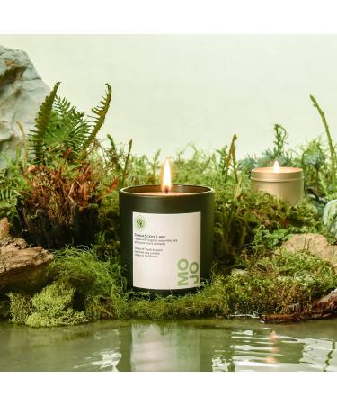 Wellness Candle Organic Forest Bathing | CandaScent Labs | 100% Botanical Black Spruce & Fir Balsam - Luxurious Rejuvenating & Synthetic-Free - Buy Online on GoSupps.com