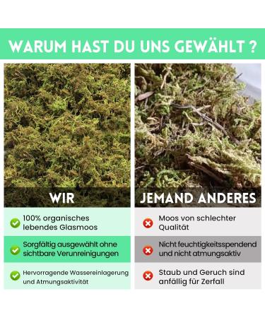 Riare Natural Sphagnum Moss for Reptiles - 400g Terrarium Moss Bricks | Increase Humidity for Healthy Reptile Habitat - Buy Online on GoSupps.com