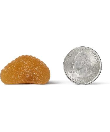 Airborne Kids Immune Support Gummies - 500mg Vitamin C, 21 Count (Pack of 2) - Assorted Fruit Flavor - Buy Online on GoSupps.com