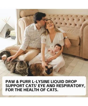 Lysine for Cats L-Lysine Liquid Drops for Cats Feline Upper Respiratory Sneezing Runny Nose Eye Function Immune Support for Kittens with Taurine Lutein and Vitamins Roast Chicken Flavor 50ML - Buy Online on GoSupps.com