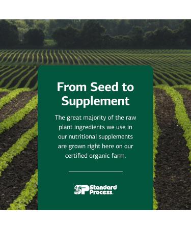 Standard Process Multizyme - Whole Food Pancreas Support Pancreatin Digestive Enzymes Digestive Health and Pancreatic Enzymes with Cellulase Papain Amylase Lipase and More - 150 Capsules - Buy Online on GoSupps.com