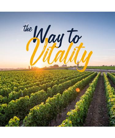 Vitalitown Chelated Zinc 50 mg, Zinc Picolinate & Gluconate, 120 Veggie Capsules, Well-Absorbed, Immune System, Healthy Skin & Development, Vegan, NO Gluten, Non-GMO 120 Count (Pack of 1) - Buy Online on GoSupps.com