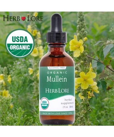 Herb Lore Mullein Tincture - Organic Mullein Drops for Lungs - Alcohol Free - 2 fl oz 2 Fl Oz (Pack of 1) - Buy Online on GoSupps.com