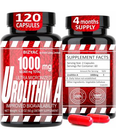 Urolithin A Supplement 1000mg - Mitochondrial Supplements Support - Advanced Healthy Anti-Aging and Cellular Renewal - Muscle Strength - Endurance and Longevity - Ultra Micronized - 120 Capsules - Buy Online on GoSupps.com