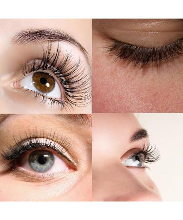 Easy Fan Lashes - 0.03 0.05 0.07 Rapid Blooming Eyelash Extensions | C D DD Curl | Volume Lashes 8-20mm | International Shipping - Buy Online on GoSupps.com