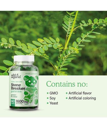 Organic Stone Breaker Gummies - Chanca Piedra Health Supplement for Gallbladder Support - Liver Kidney Cleanse - 60 Count - Buy Online on GoSupps.com
