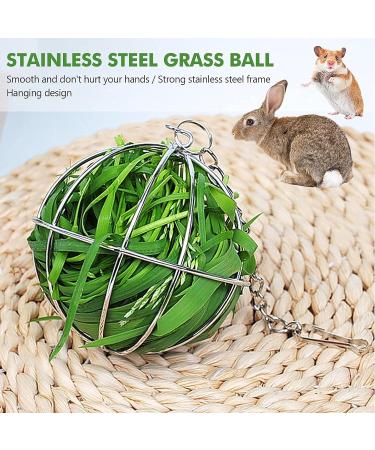 Capricious 3-Piece Stainless Steel Pet Grass Hay Ball Dispenser | Ideal for Rabbits Hamsters Chinchillas Guinea Pigs & Turkeys - Buy Online on GoSupps.com