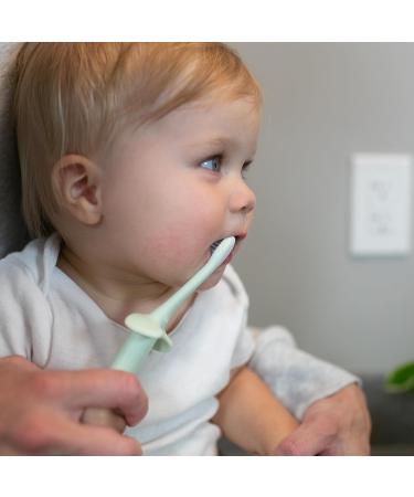 Dr. Brown's Infant-to-Toddler Toothbrush | Soft & Safe Baby Training Brush for 0-3 Years | Elephant Mint Design - Buy Online on GoSupps.com