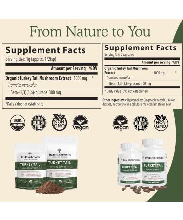 Real Mushrooms Turkey Tail Capsules Organic Mushroom Extract for Daily Wellness, Gut Harmony, Energy Support Vegan, Non-GMO, No Fillers Turkey Tail Extract 200 Count Mushroom Supplement - Buy Online on GoSupps.com