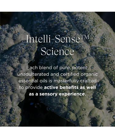 Intelligent Nutrients Shape-setter Organic Flex Gel - Medium Hold Styling Gel (4 oz) - USDA Certified, Petrochemical-free for Men & Women - Buy Online on GoSupps.com