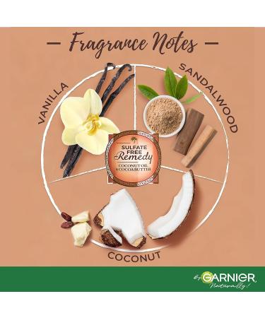 Garnier Whole Blends Coconut Oil & Cocoa Butter Taming Shampoo and Conditioner Set - Sulfate Free Remedy for Very Frizzy Hair - 12 Fl Oz Kit - Buy Online on GoSupps.com
