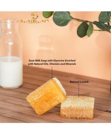 Goat Milk Soap - Natural Exfoliating Loofah Bar | Handmade Nourishing & Hydrating Soap for Face & Body | Organic Bath Sponge for Men & Women - Buy Online on GoSupps.com