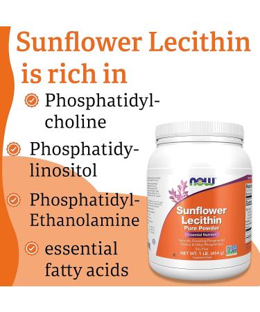 Now Foods Sunflower Lecithin Powder 454g - Lab-Tested, Gluten-Free, Soy-Free, Vegan - Buy Online on GoSupps.com