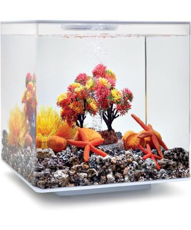 Buy biOrb 55024 Decor Set 15L Autumn | Colorful Aquarium Decor for 15L biOrb Aquariums - Buy Online on GoSupps.com