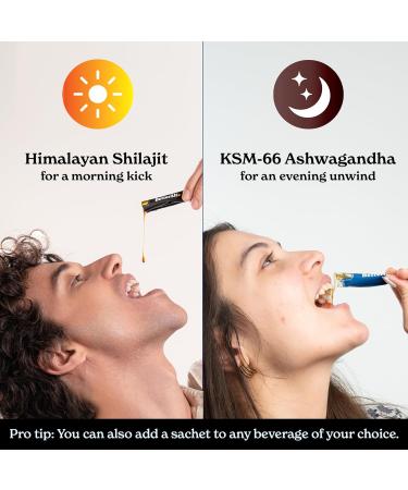 Better Alt Ashwagandha & Shilajit Honey Sticks 2 Pack| Pure Himalayan Shilajit Organic Multiflora Honey & Saffron|60 Sticks|Energy & Immune Support Supplement Natural + Ashwagandha Honeysticks (Pack of 2) - Buy Online on GoSupps.com
