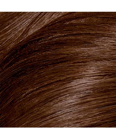 Clairol Nice'n Easy Perfect 10 6WN Light Chocolate Brown Permanent Hair Dye - Pack of 1 - Buy Online on GoSupps.com