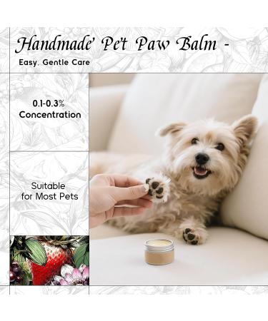 HIQILI 30ML True Lavender Essential Oil & 150ML Pomegranate Halo Fragrance Oil for DIY Diffuser - Buy Online on GoSupps.com