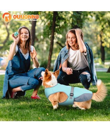 Dog Cooling Vest - Breathable Mesh Ice Jacket for Small, Medium, and Large Dogs - Adjustable Straps - Medium Blue - Buy Online on GoSupps.com