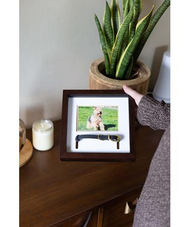 Pearhead Pet Collar Keepsake Picture Frame - Espresso Collar Frame - Buy Online on GoSupps.com