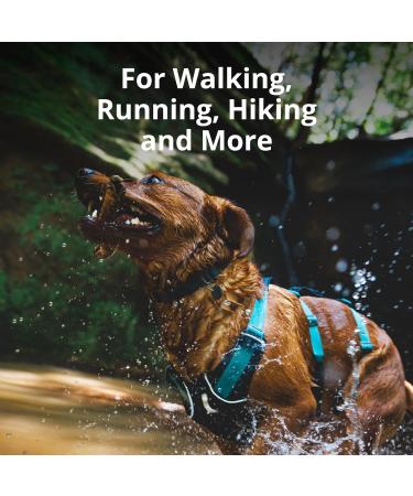 Luffwear Flagline Dog Harness with Handle | Adjustable Walking Harness with 3 Fortification Points | Small Salmon Pink (56 69 cm) - International Shipping Available - Buy Online on GoSupps.com