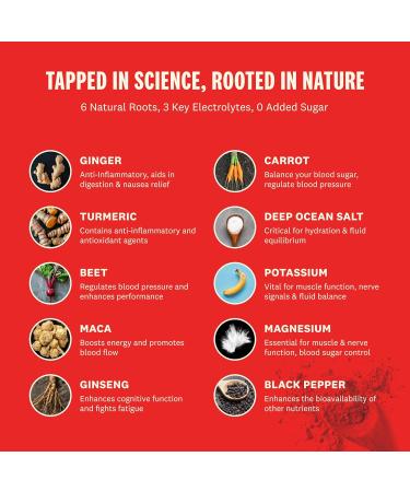 SUPEROOT 100% Natural Detox Electrolytes | Ginger & Citrus Flavor | Caffeine Free Sugar Free | Boost Immunity & Hydration | 30 Servings - Buy Online on GoSupps.com