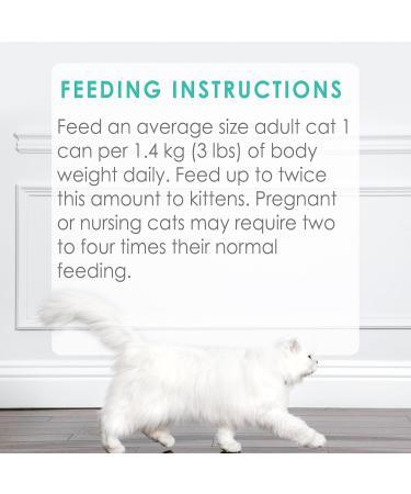 Fancy Feast Grilled Wet Cat Food Seafood Feast in Gravy - 85 g Can (24 Pack) - Buy Online on GoSupps.com