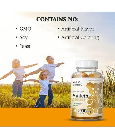 Organic Mullein Gummies - Respiratory & Digestive Support - 2000mg 60 Chews - Buy Online on GoSupps.com