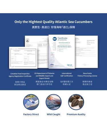 Rosalyn Premium Deep Sea Atlantic Canada Wild Caught Sea Cucumber 8Years Dried Sea Cucumber Canada 4Pack 100g (Pack of 4) - Buy Online on GoSupps.com