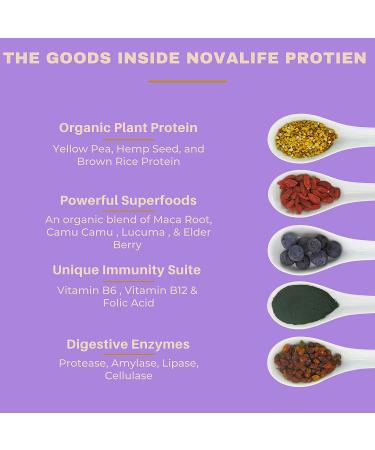 NovaLife Organic Immunity Vanilla Plant Protein Powder - 1.65 lbs - 24g Protein - 20 Servings, Elderberry, Vegan, Keto Friendly | Soy-Free, Dairy-Free, Non-GMO, Gluten-Free, No Sugar Added - Buy Online on GoSupps.com