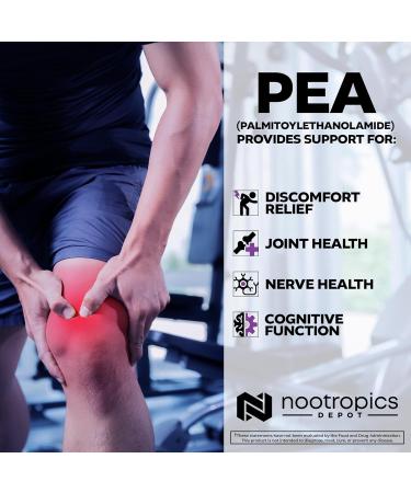 Nootropics Depot Palmitoylethanolamide Capsules | Pea | 400mg Pills | 180 Count | Provides Discomfort Support | Promotes Healthy Joint Function 180 Count (Pack of 1) - Buy Online on GoSupps.com